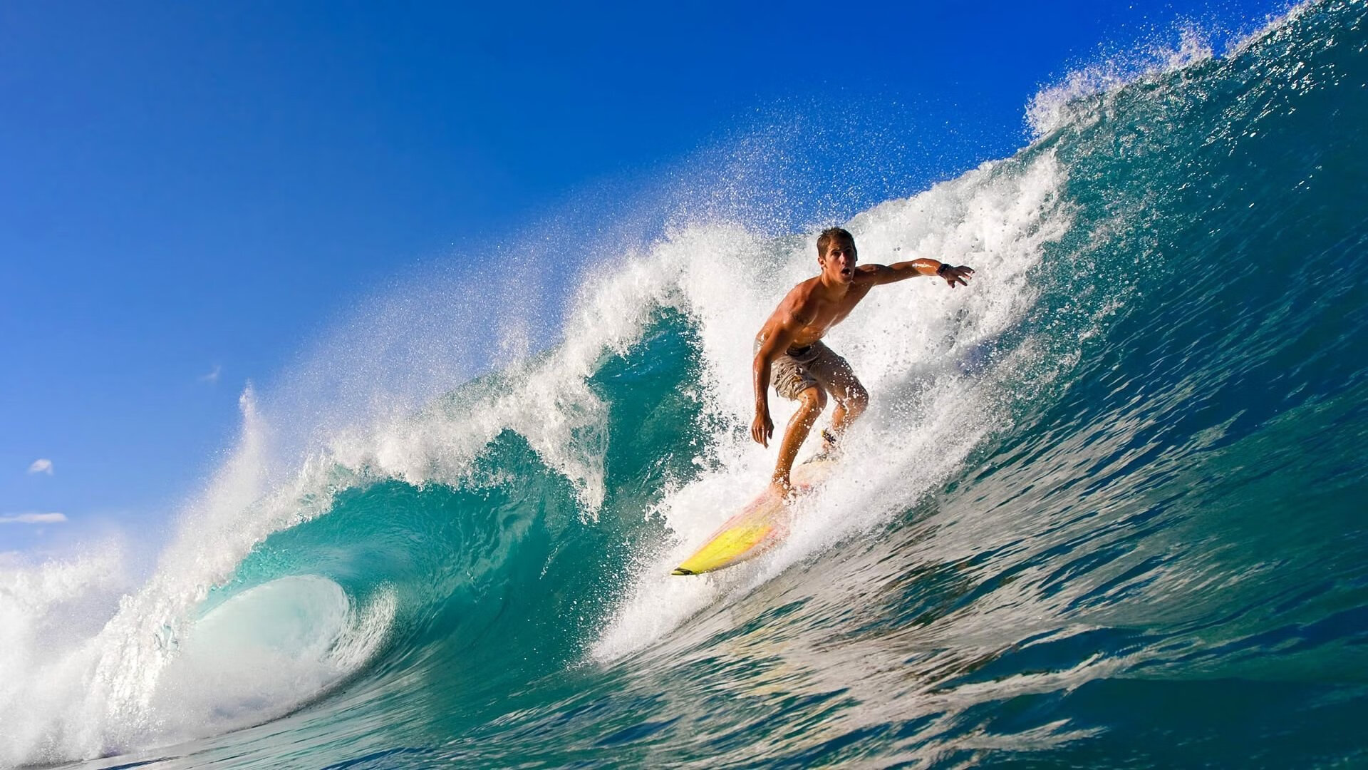 期待已久的“年度最佳新秀”投票即将开启，最佳新秀是谁